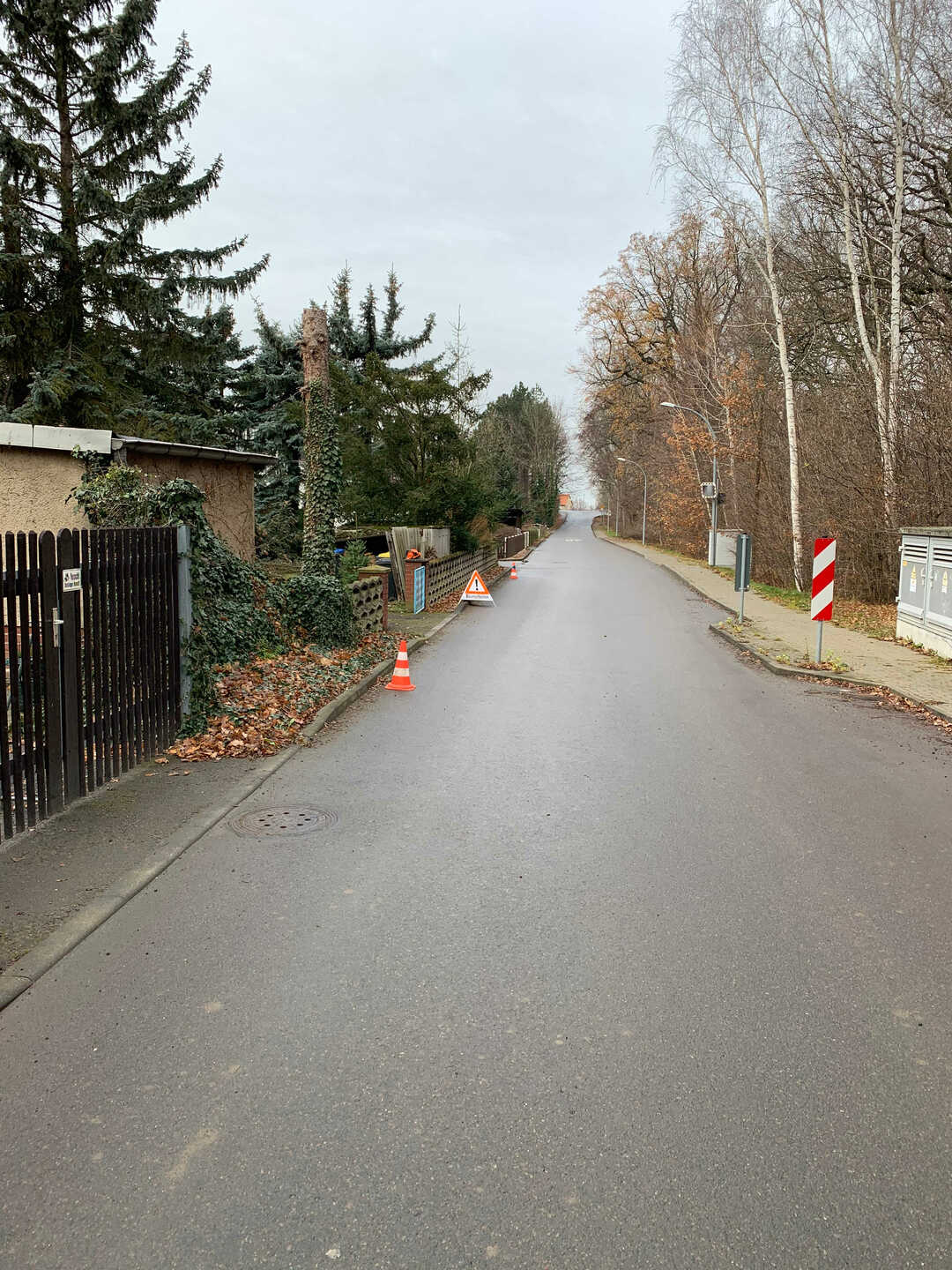 Ein Bild aus der Bildergallerie