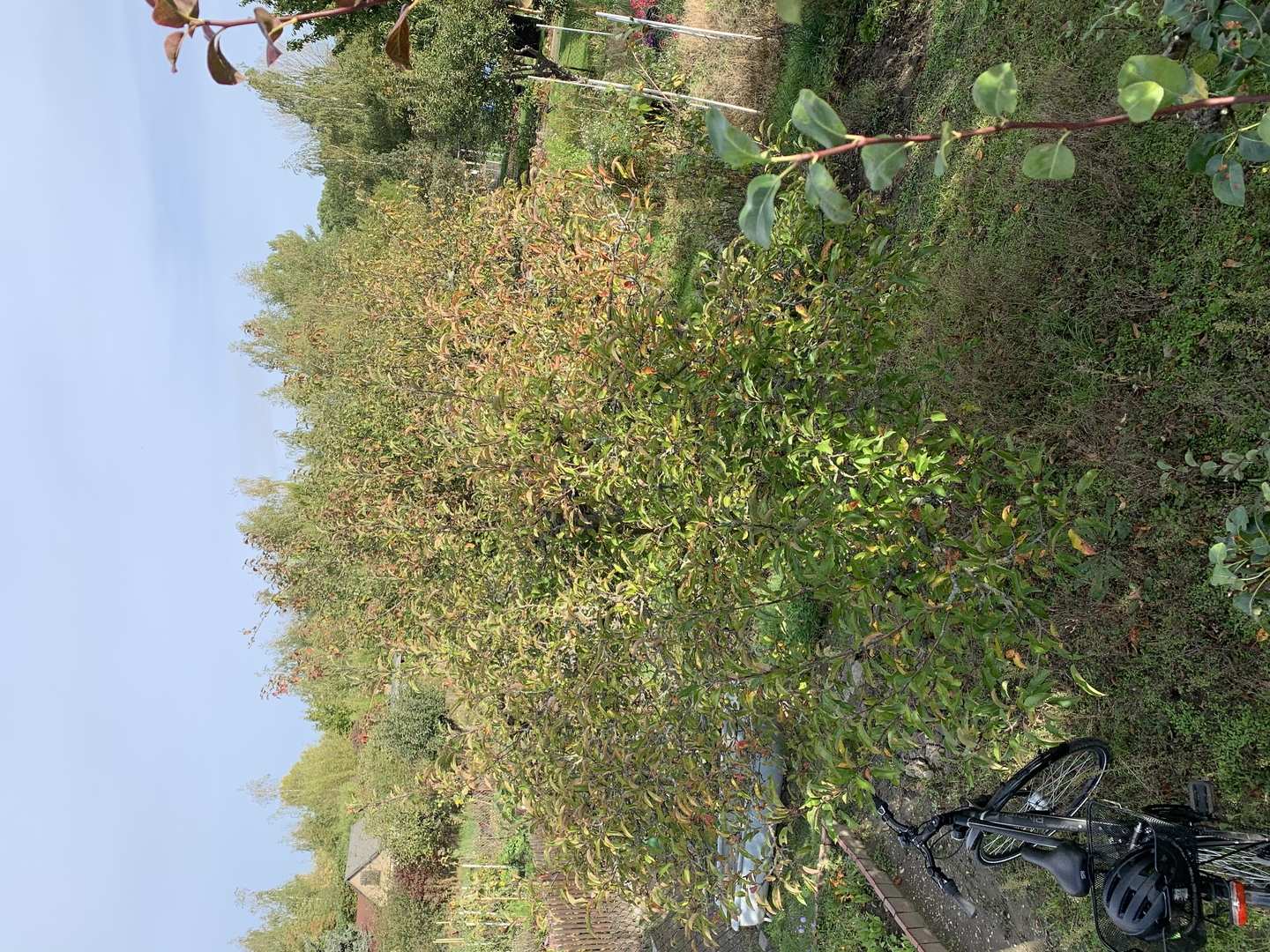 Ein Bild aus der Bildergallerie