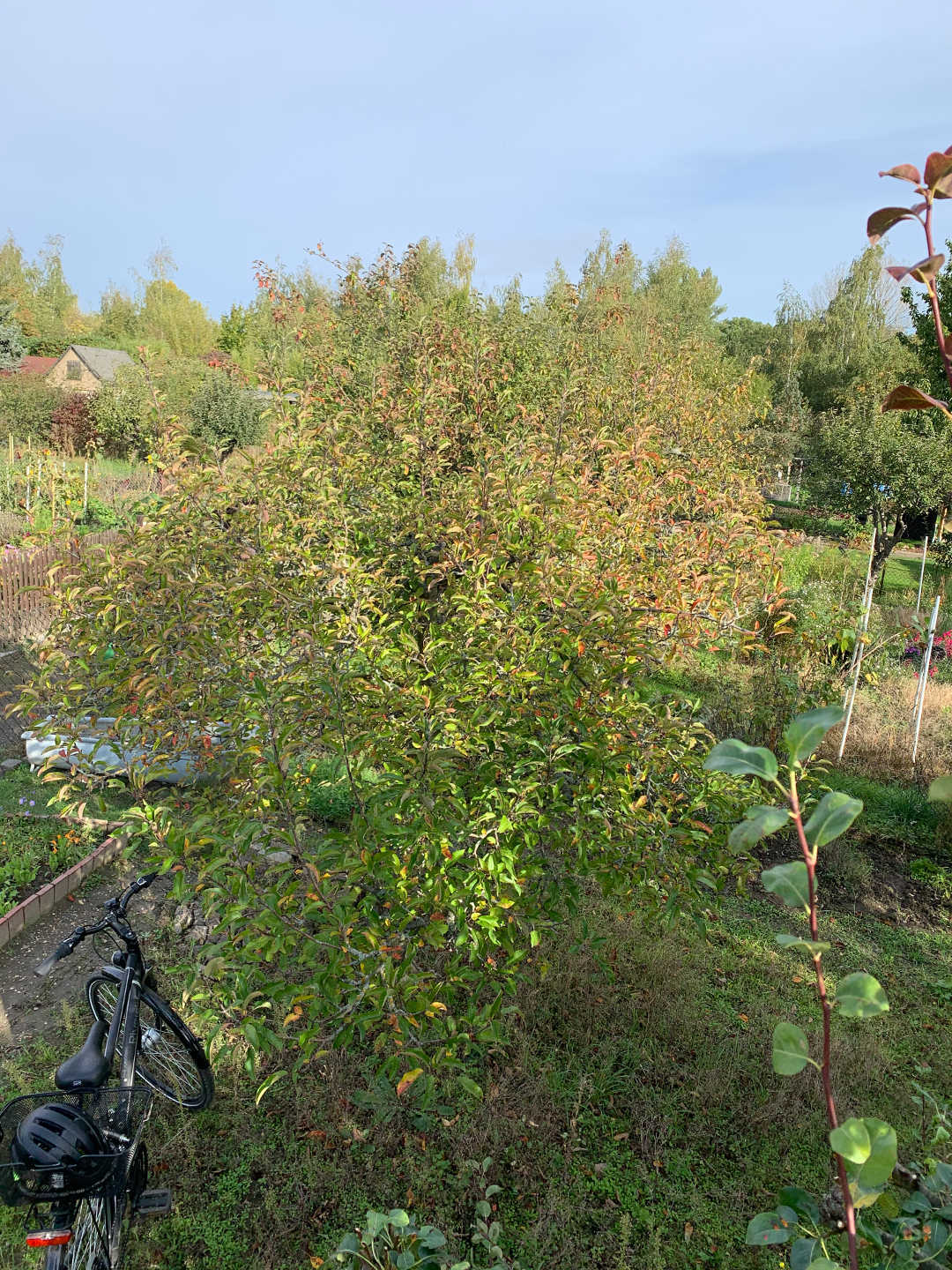 Ein Bild aus der Bildergallerie