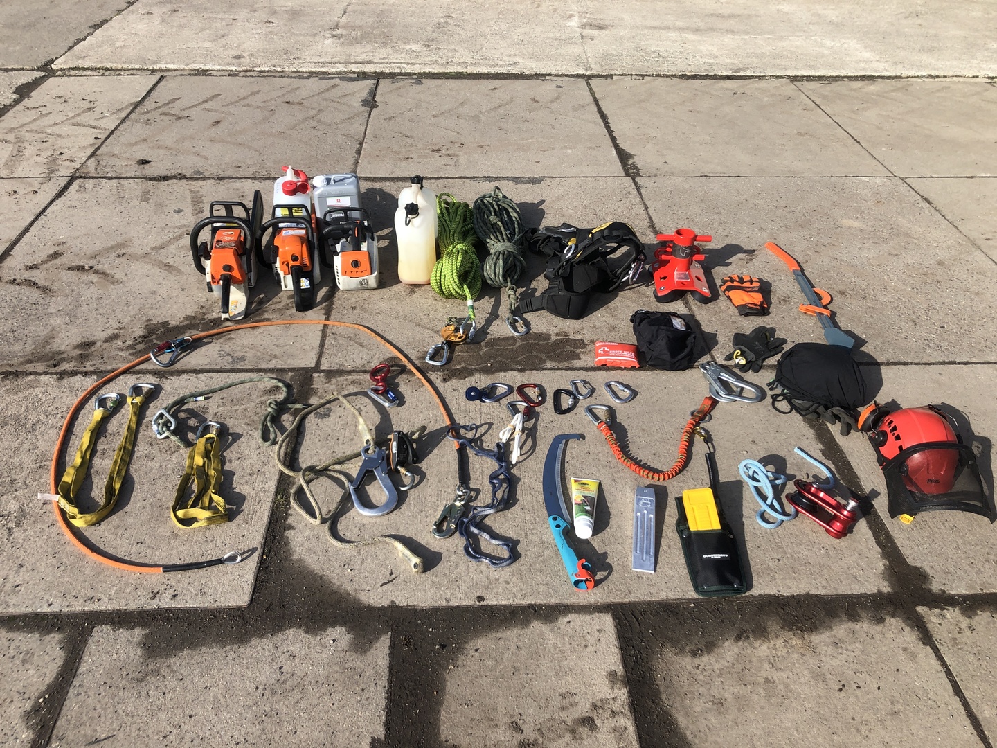 Ein Bild aus der Bildergallerie