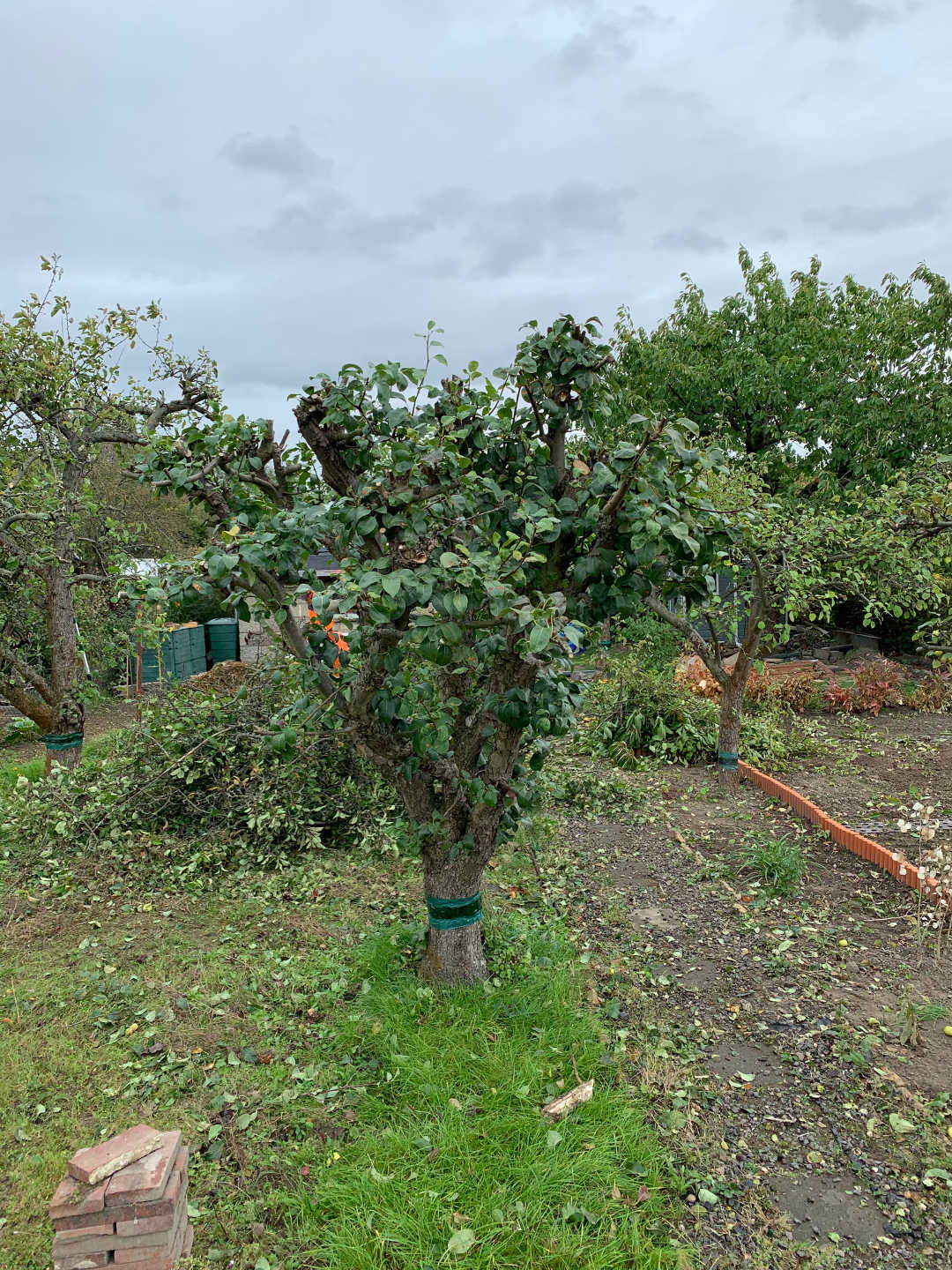 Ein Bild aus der Bildergallerie