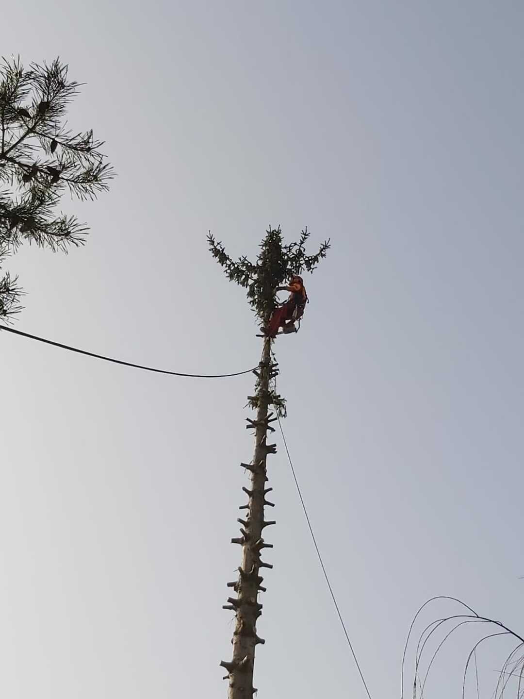 Ein Bild aus der Bildergallerie