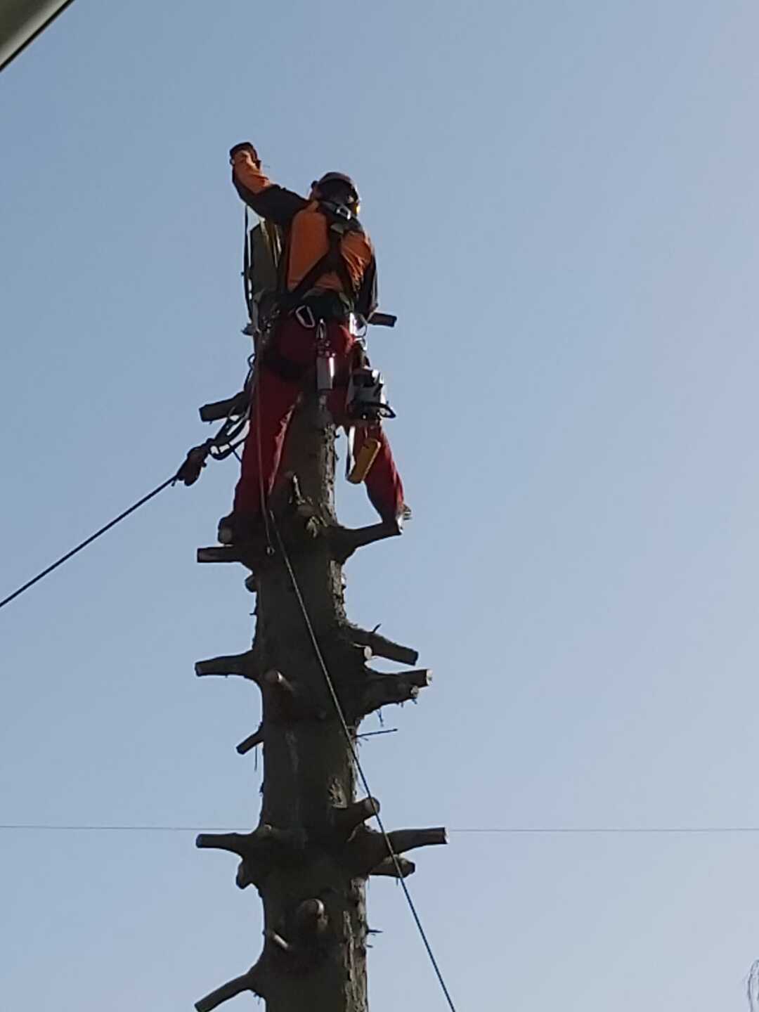 Ein Bild aus der Bildergallerie