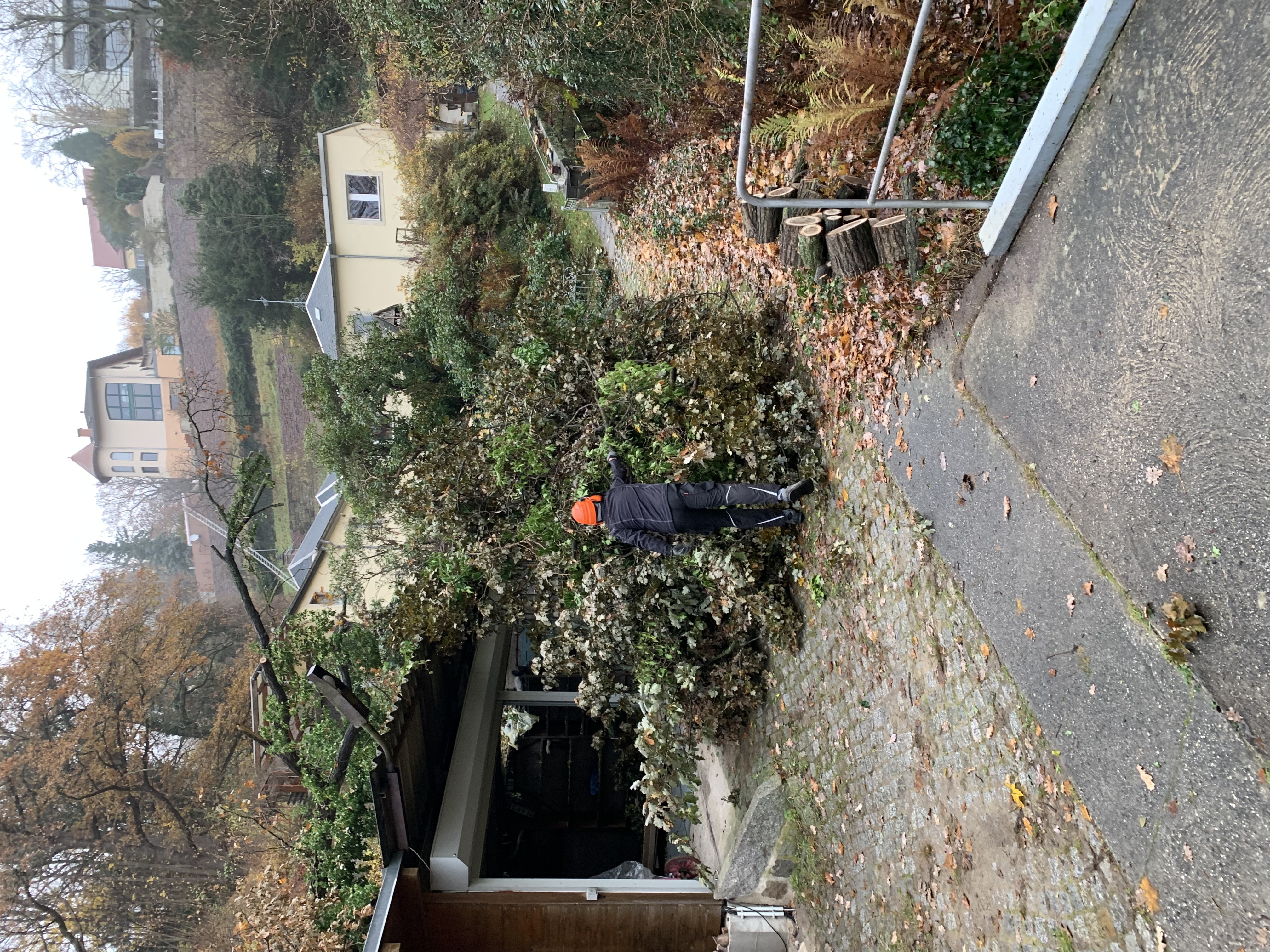 Ein Bild aus der Bildergallerie