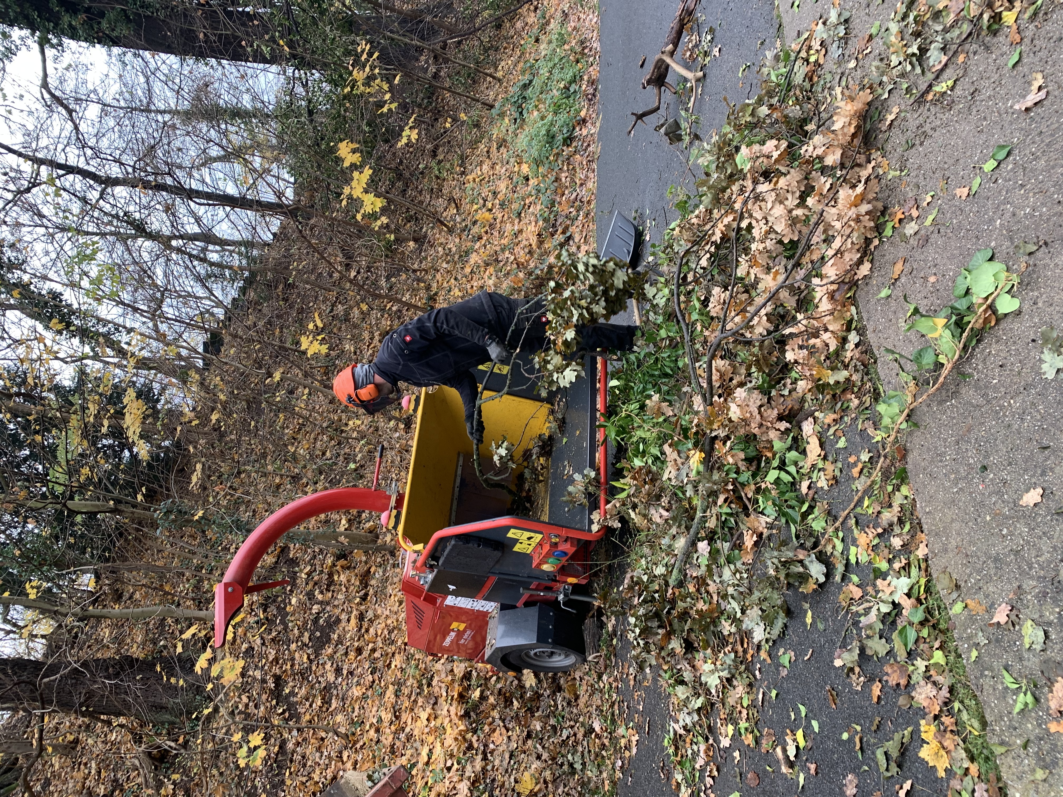 Ein Bild aus der Bildergallerie