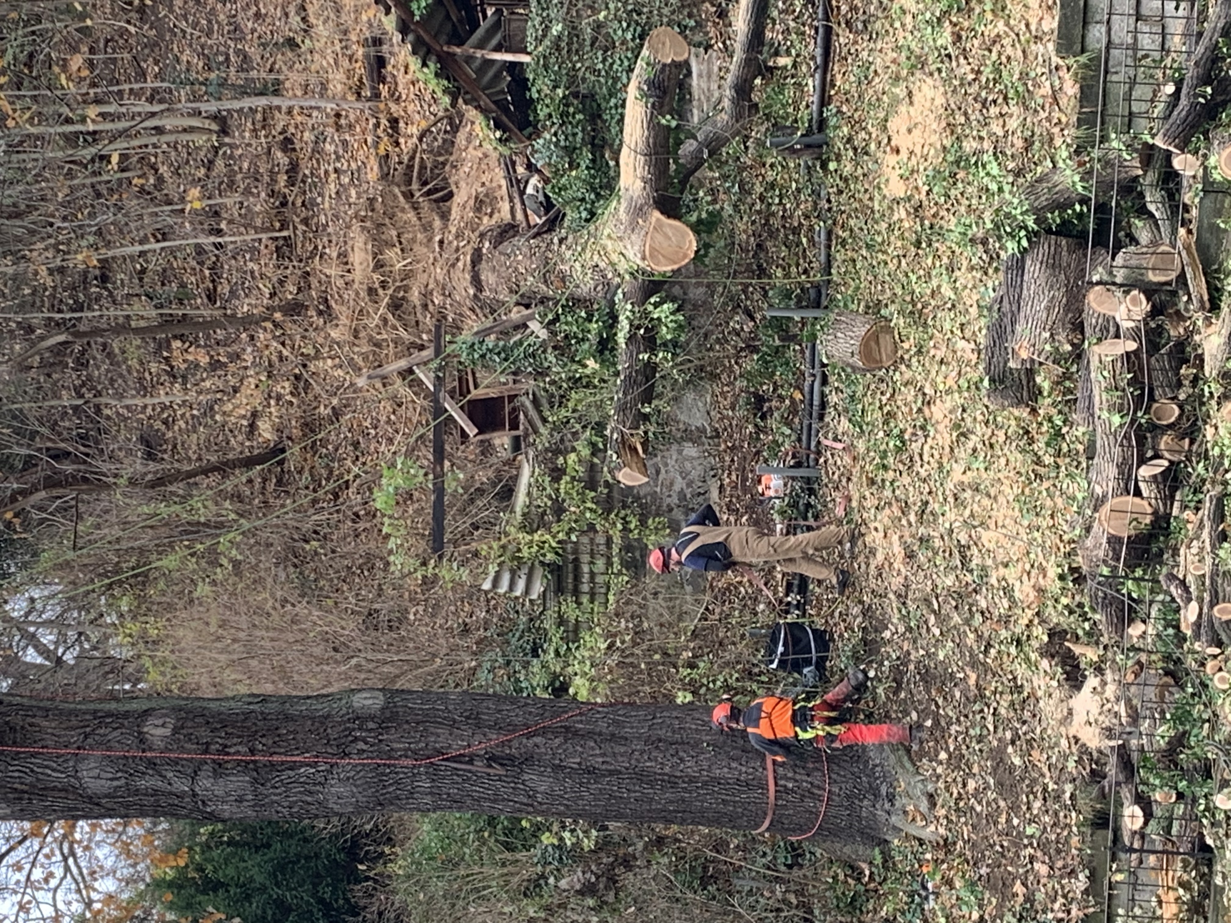 Ein Bild aus der Bildergallerie