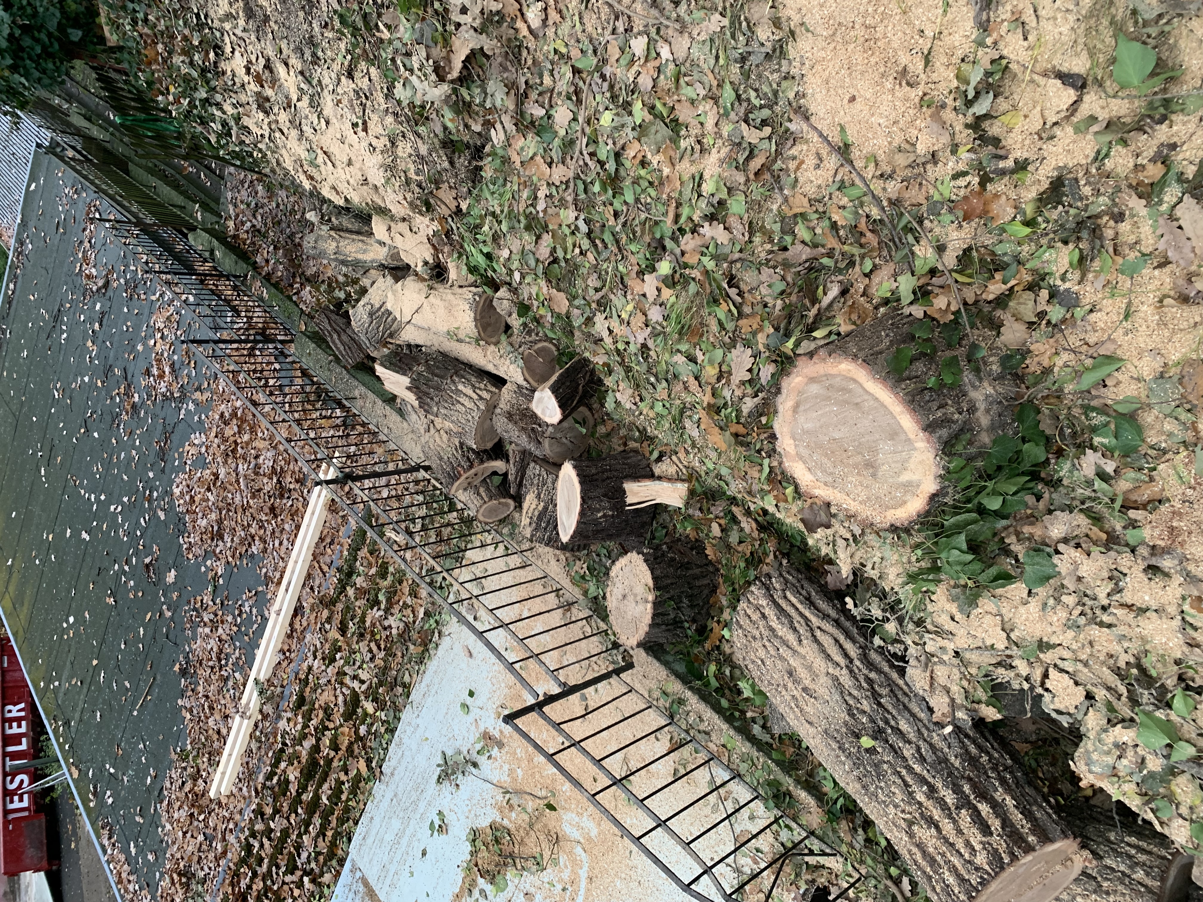 Ein Bild aus der Bildergallerie