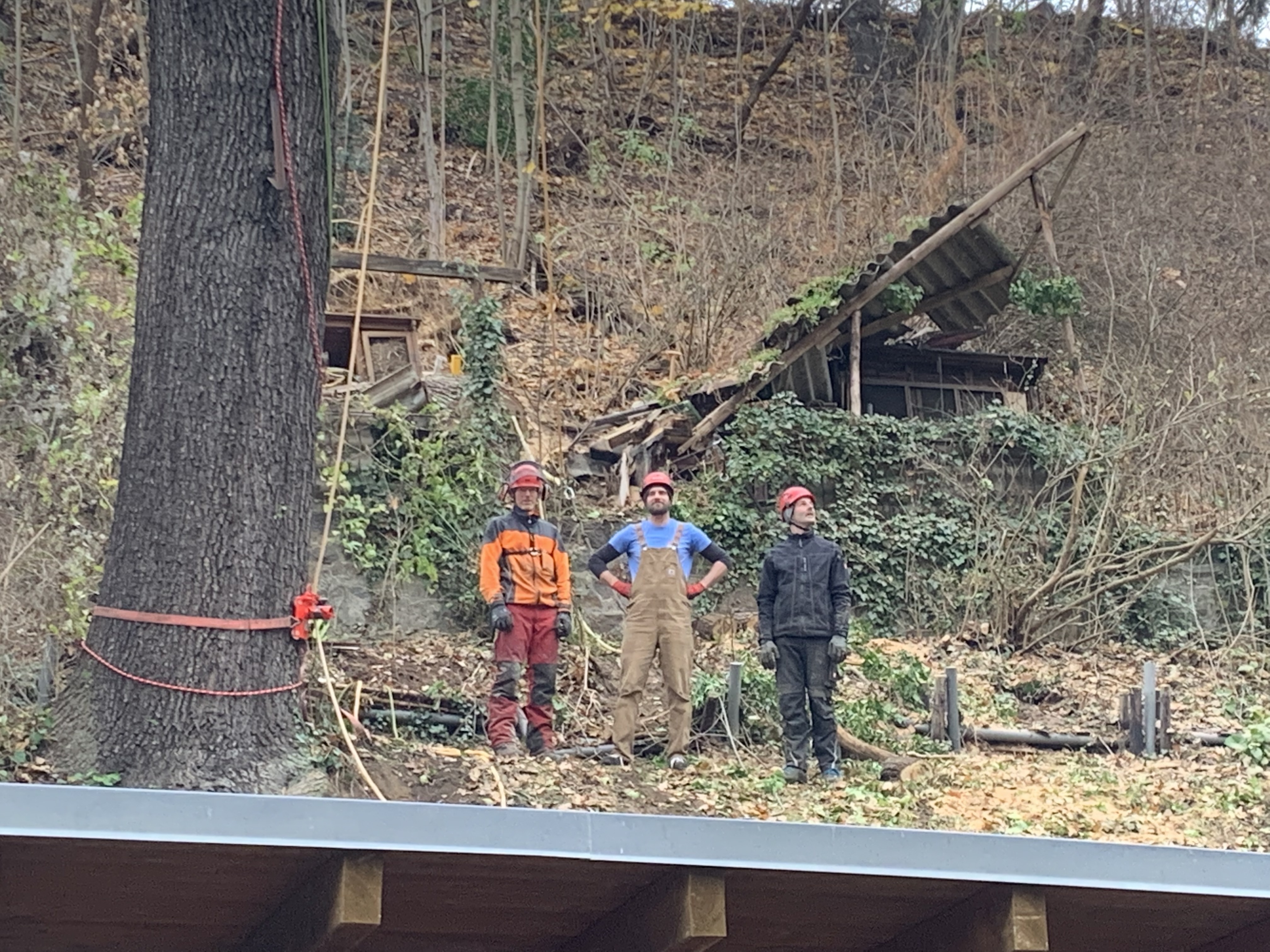 Ein Bild aus der Bildergallerie