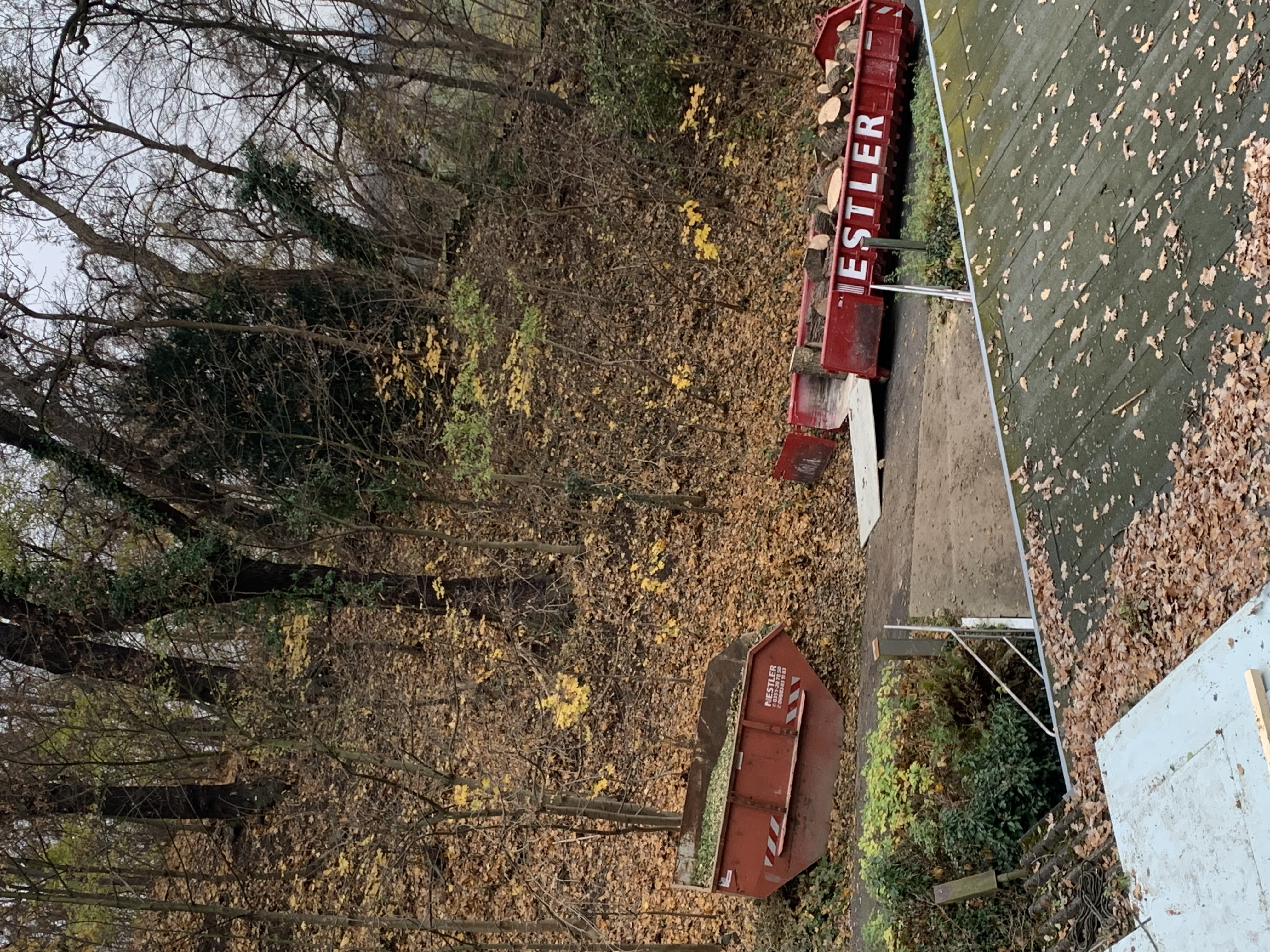 Ein Bild aus der Bildergallerie