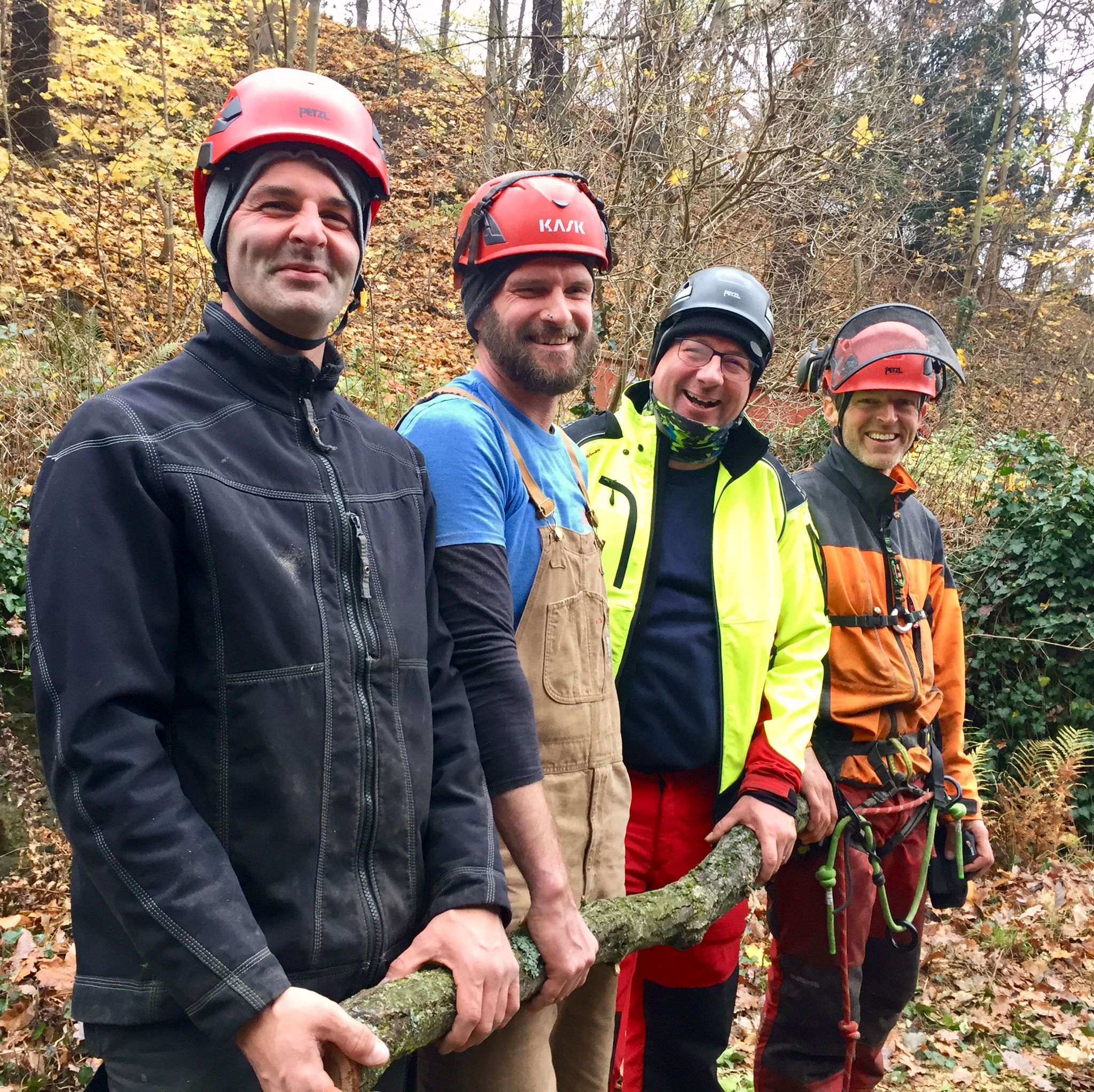 Ein Bild aus der Bildergallerie