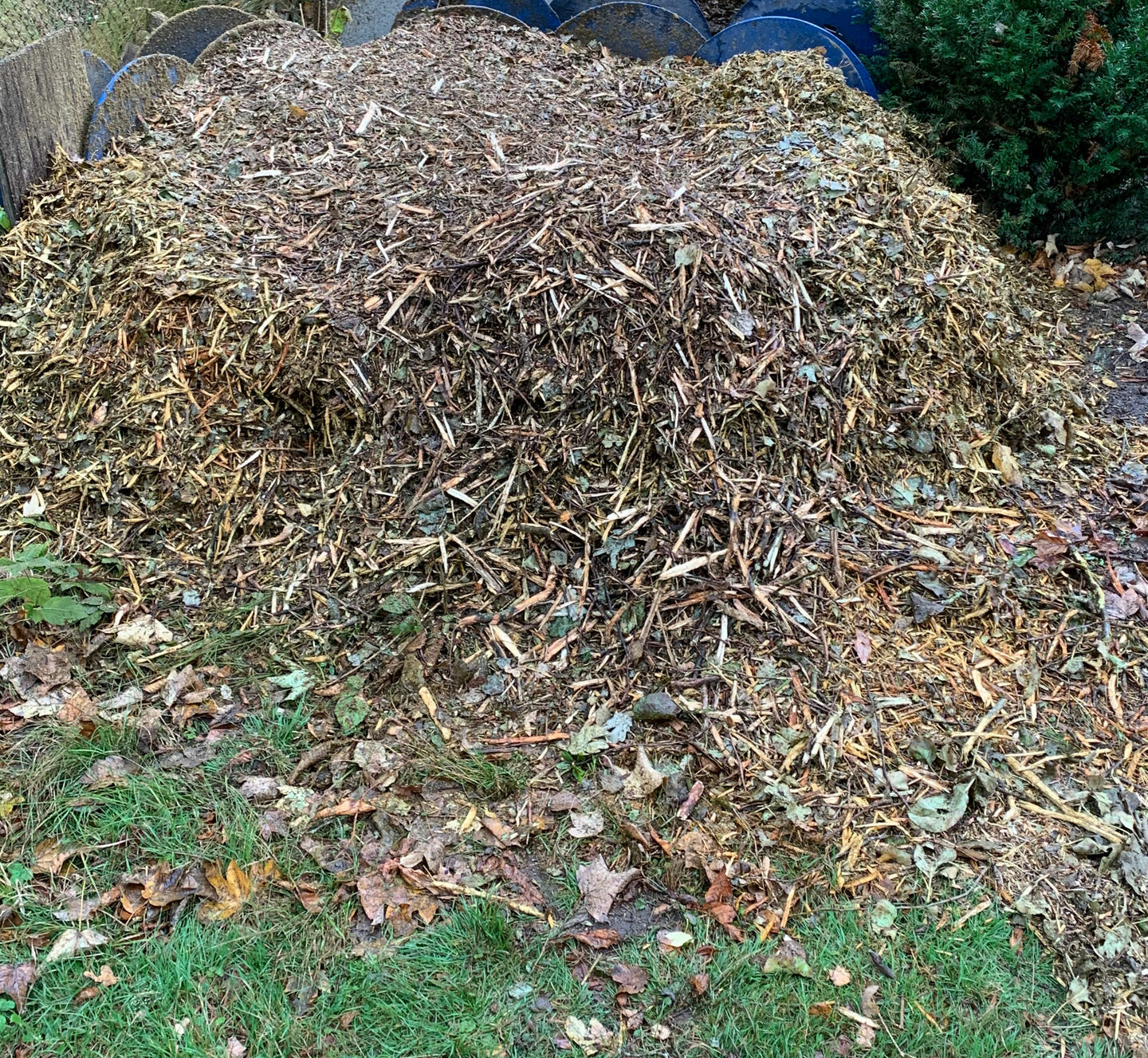 Ein Bild aus der Bildergallerie