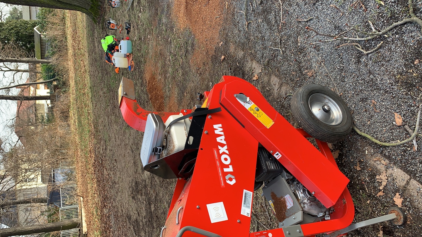 Ein Bild aus der Bildergallerie