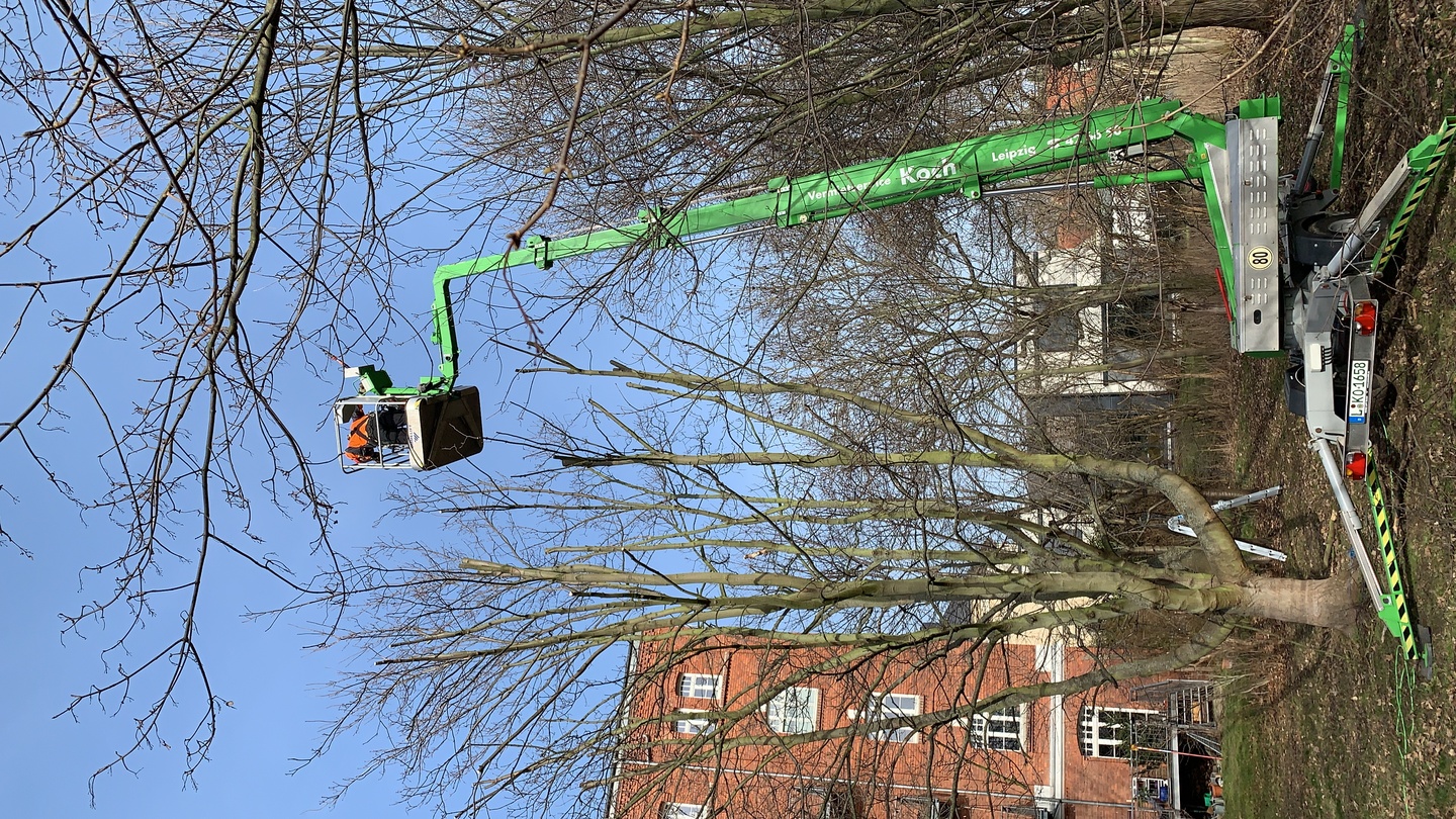 Ein Bild aus der Bildergallerie