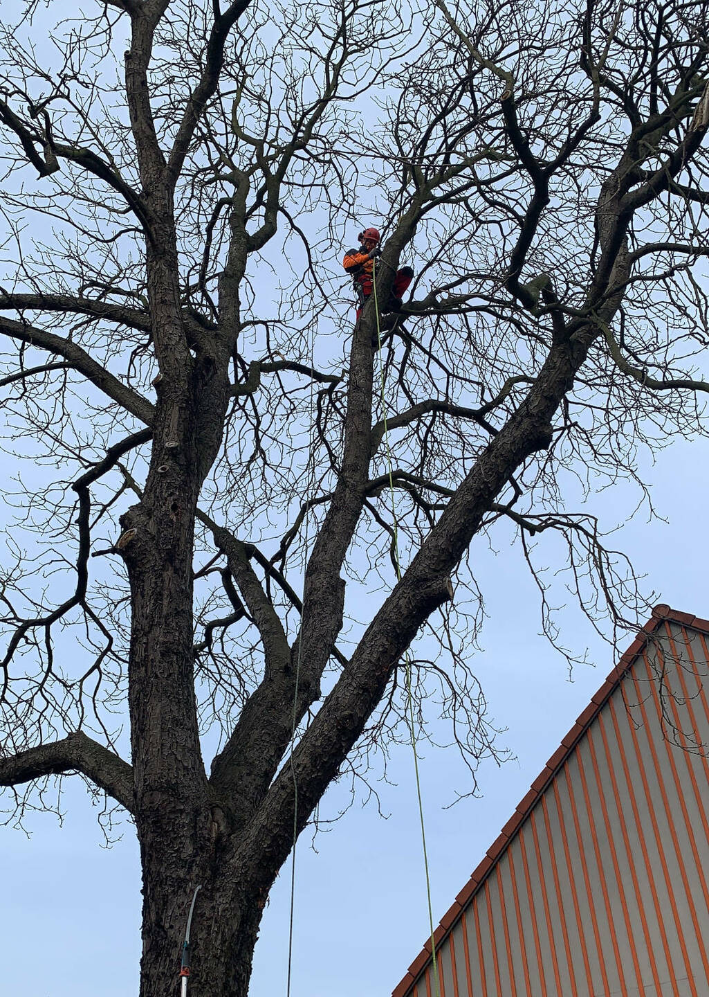 Ein Bild aus der Bildergallerie