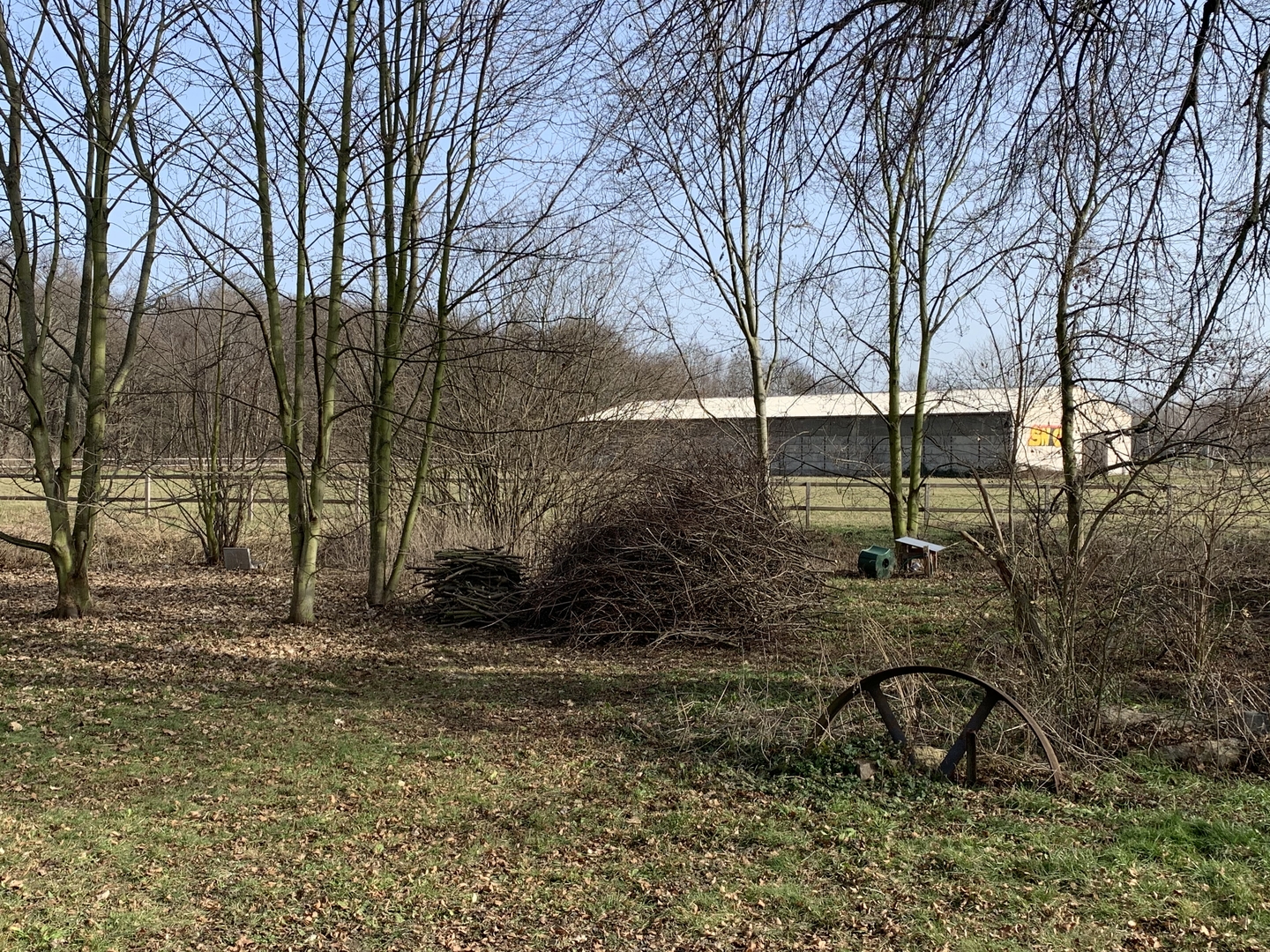 Ein Bild aus der Bildergallerie