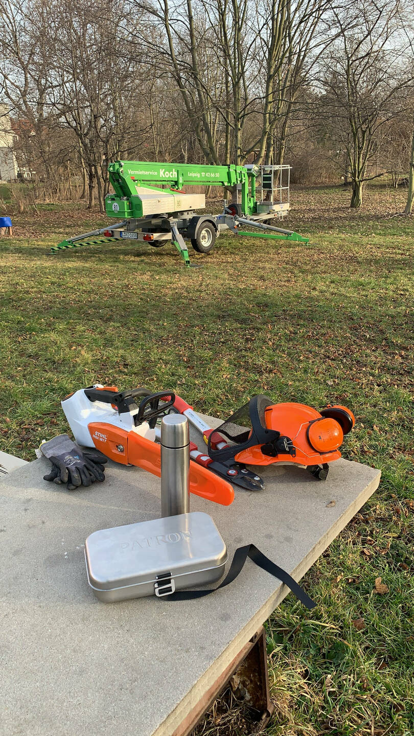 Ein Bild aus der Bildergallerie