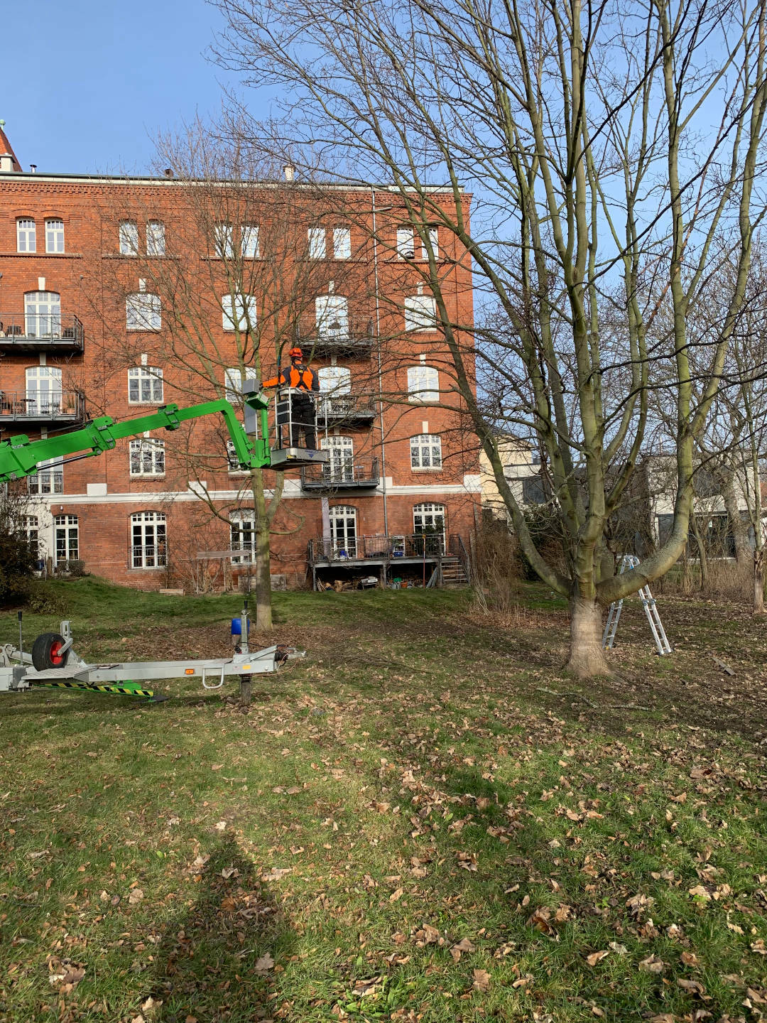 Ein Bild aus der Bildergallerie