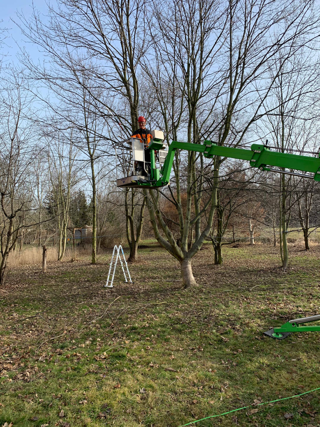 Ein Bild aus der Bildergallerie